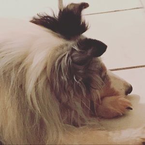 Meet your Posher, Alana